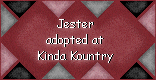 Click here to adopt Jester at Kinda Kountry.