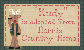 Click here to adopt Rudy at Harris Country Home