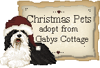 Click here to adopt your pets at Gaby's Cottage.