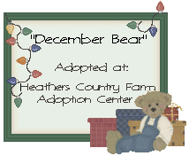 Click here to adopt your December Bear at Country Farm Adoption Center.