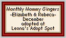 Click here to adopt your Mommy Ginger at Leona's Adopt Spot.