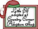 Click here to adopt your Little Elf Ginger at Country Corner Adoption Shop.