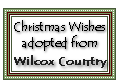 Click here to adopt you Christmas Wishes Ginger at Wilcox Country.