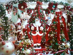 © Irene's Country Corner. Not for download.