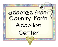 Click here to adopt your Easter Bunny at Country Farm Adoption Center.