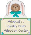 Click here to adopt your Bunny Bear at Country Farm Adoption Center.