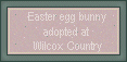 Click here to adopt your Easter Egg Bunny at Wilcox Country.