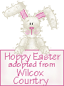 Click here to adopt your Hoppy Easter Bunny at Wilcox Country.