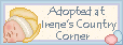 Click here to adopt your babies at Irene's Country Corner.
