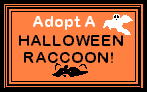 Click here to adopt a Halloween Raccoon at Melissa's Racoon Realm.