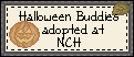 Click here to adopt Halloween Buddies at Nicole's Country Home.