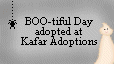 Click here to adopt your Boo-tiful Day at KaFar.