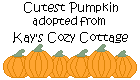 Click here to adopt Cutest Pumpkin at Kay's Cozy Cottage.