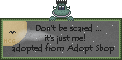 Click here to adopt your frog at Adopt Shop.