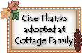 Click here to adopt your Ginger Dolls at the Cottage Family.