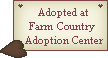 Click here to adopt you Valentine Bears at Heather's Country Farm.