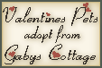 Click here to adopt your Valentine Pets at Gaby`s Cottage.