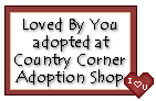 Click here to adopt Loved by You at Country Corner Adoptions Shop.