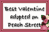 Click here to adopt Best Valentine at Peach Street.