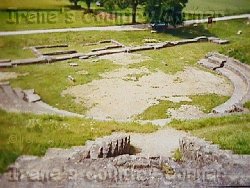 &COPY; Irene. Not for download. 