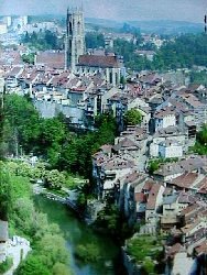 &COPY; Irene. Not for download. 