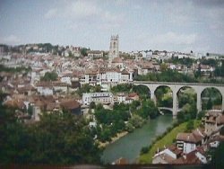 &COPY; Irene Mendes. Not for download.