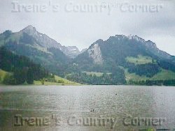 &COPY; Irene. Not for download. 