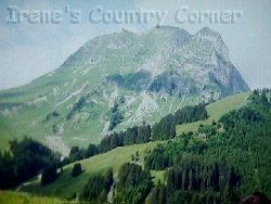 &COPY; Irene. Not for download. 