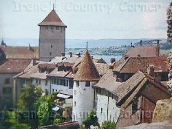 &COPY; Irene. Not for download. 