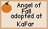 Click here to adopt your Angel of Fall at KaFar.