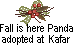 Click here to adopt your Panda Fall Wreath at KaFar.