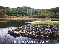 Copyright © Irene - Schroon Lake - New York