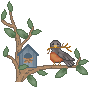 Adopted at Robin's Country Nest. Click on the certificate at the bottom of the page to adopt yours.