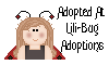 Click here to adopt your Ladybug at Lili-Bug Adoptions.