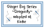 Click here to adopt your Dragonfly Ginger at KaFar.