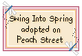 Click here to adopt Swing Into Spring at Peach Street.