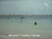 Copyright &COPY; Irene. Not for download.