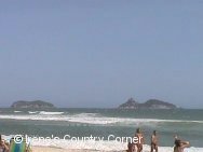 Copyright &COPY; Irene. Not for download. This picture was taken in March 2001.