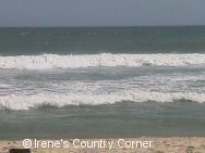 Copyright &COPY; Irene. Not for download. This picture was taken in March 2001.