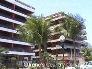 Copyright &COPY; Irene. Not for download. This picture was taken in March 2001.