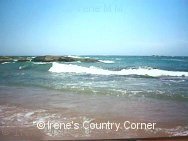 Copyright &COPY; Irene. Not for download.