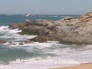 Copyright &COPY; Irene. Not for download.