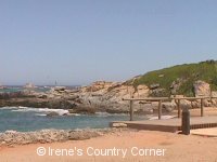 Copyright &COPY; Irene. Not for download.