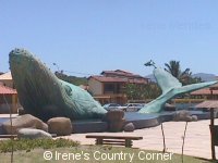 Copyright &COPY; Irene. Not for download.