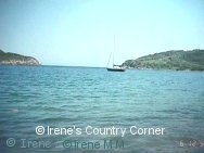 Copyright &COPY; Irene. Not for download.