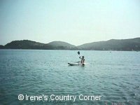 Copyright &COPY; Irene. Not for download.