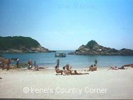 Copyright &COPY; Irene. Not for download.