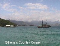 Copyright &COPY; Irene. Not for download.