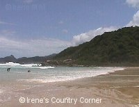 Copyright &COPY; Irene. Not for download.