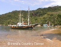 Copyright &COPY; Irene. Not for download.